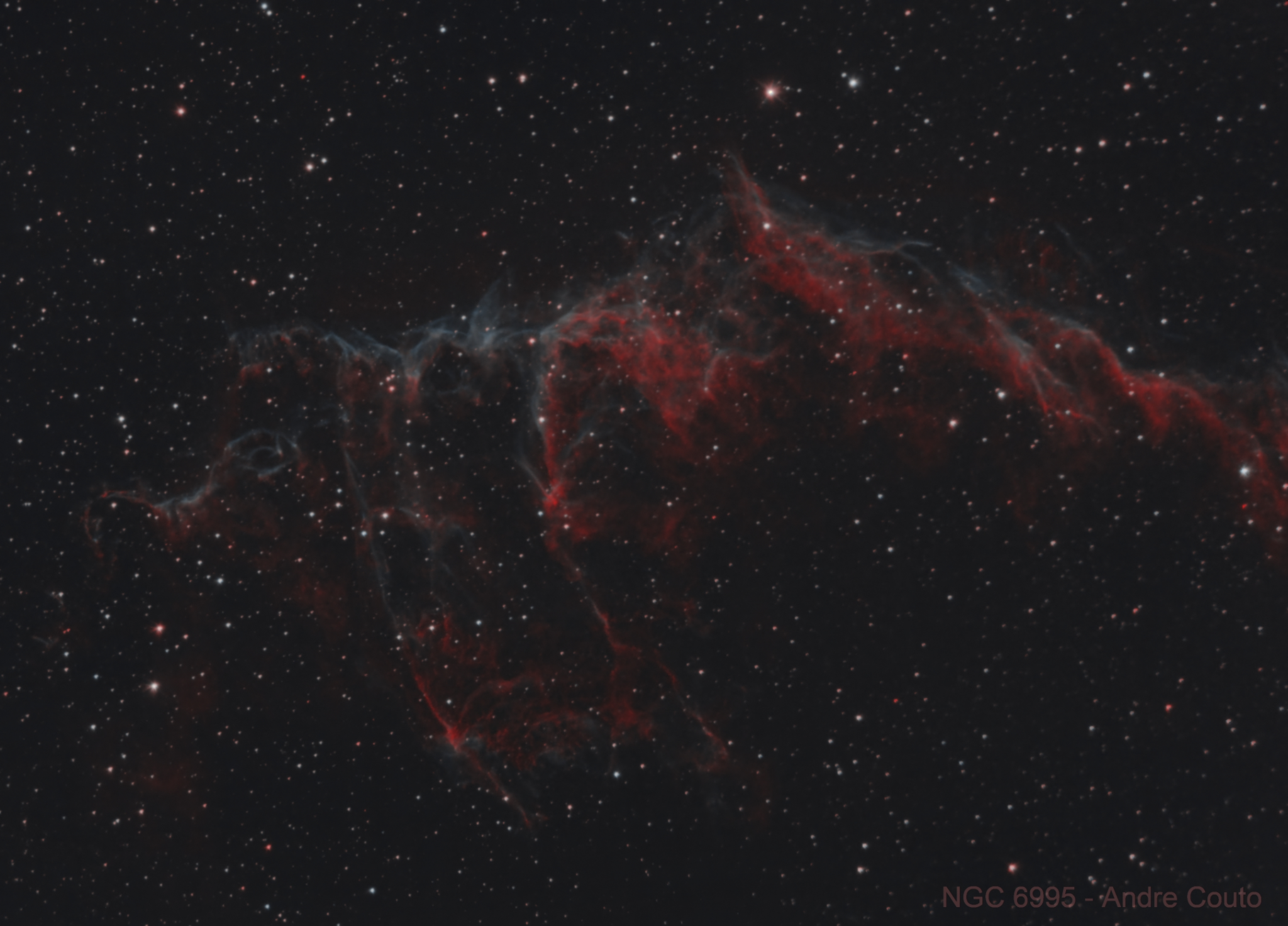 O Morcego, NGC 6995, por André Couto